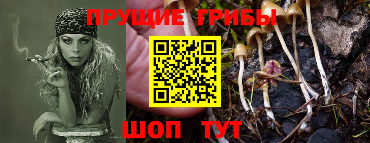 Псилоцибиновые грибы ЛСД  Вход с VPN  Сафоново 